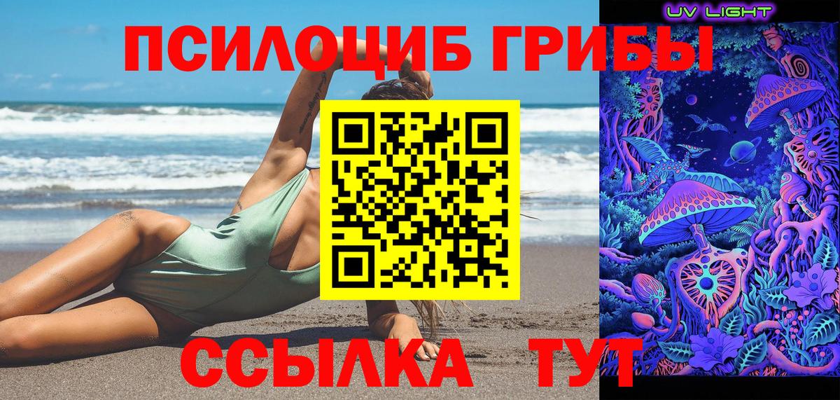 Одинцово  Псилоцибиновые грибы MAGIC MUSHROOMS  Вход с VPN 